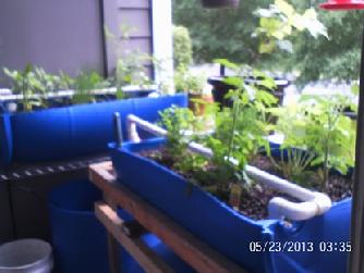 Patio Aquaponcis Installation 